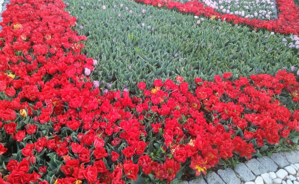 Kata Kata Romantis Dalam Bahasa Turki Kangdidik