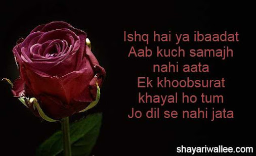 ishq ki shayari in hindi