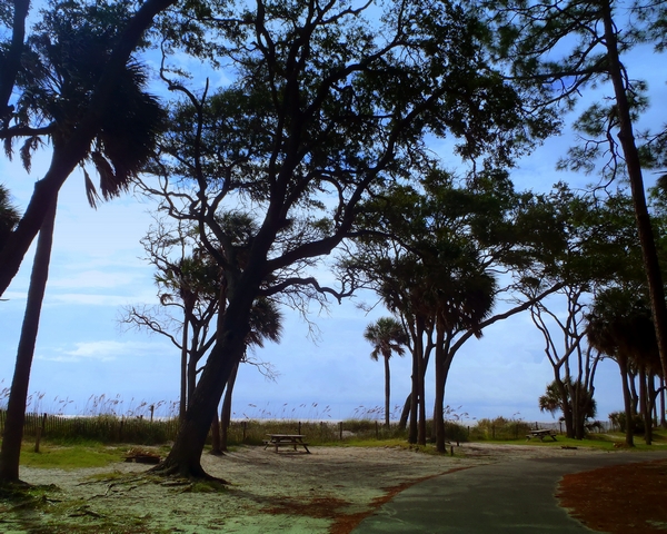 Hunting Island State Park South Carolina by Dear Miss Mermaid, copyright by http://dearmissmermaid.com