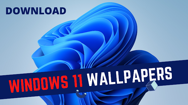 Download Windows 11 Wallpapers