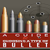 A Guide for Choosing a Type of Bullet #infographic