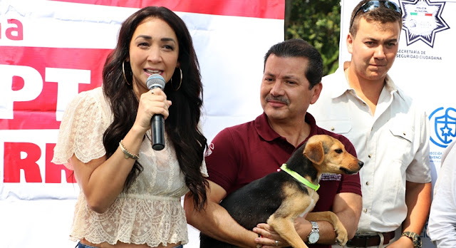 En 1era campaña de adopción de San Pedro Cholula más de 30 nuevas mascotas encuentran hogar