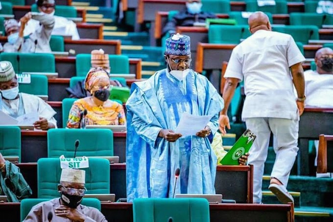 N-power NEXIT: Reps pass Supplementary Budget, no mention of NEXIT, N-power on Budget