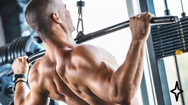 Exercises to get back to the gym