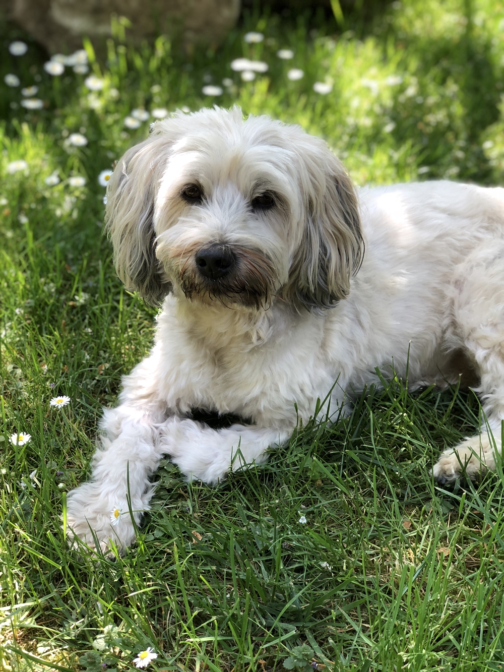 Schmelli Online Mein Wohnmobil Geocaching Und Ich Februar 2014