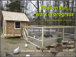 chicken coop run square essentials space outdoor chickens snow runs range build floor designs feet per inside outside footage without