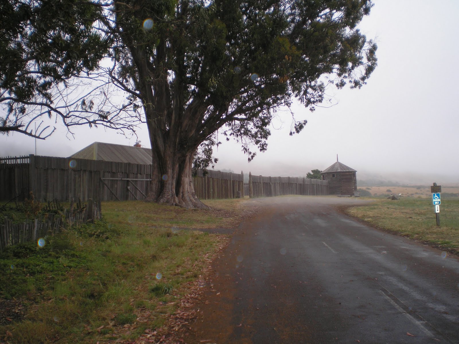 The Road Genealogist Duncans Mills to Cazadero to Fort Ross