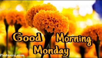 Good Morning Monday | 15+ Best Good Morning Monday Images Good Morning Monday | 15+ Best Good Morning Monday Images