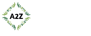 A2Z SEO Tools Access