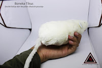 Jual alat sulap boneka tikus Jual alat sulap boneka tikus