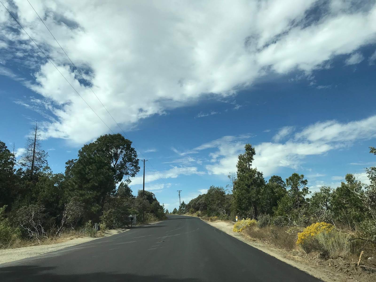 Auberry Road and the Wildflower Trail