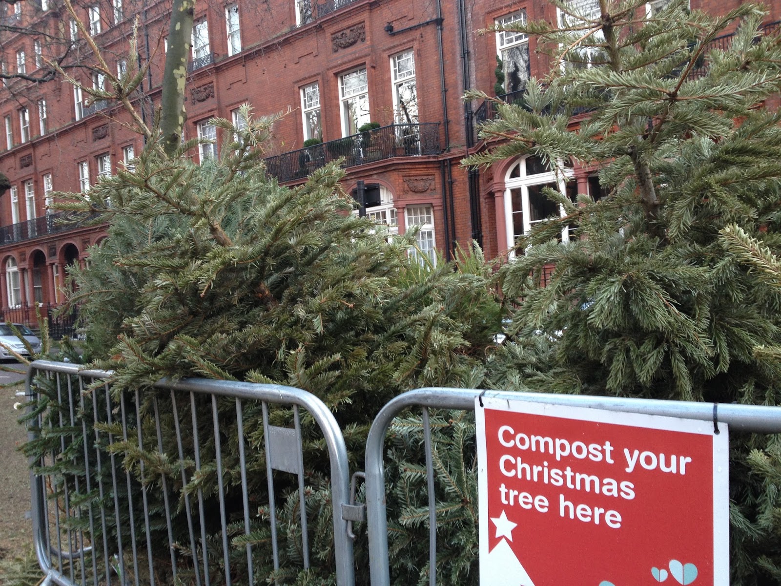 The Meditative Gardener Composting Christmas Trees