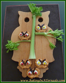 Angry Owl snacks | Recipe developed by www.BakingInATornado.com | #recipe #snack