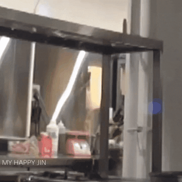 BelatedReliableHoneyeater-size_restricte