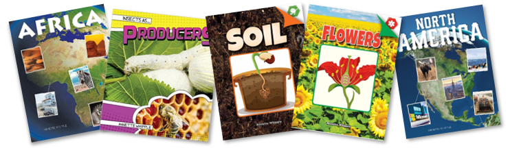 Educational market essay 07 picture