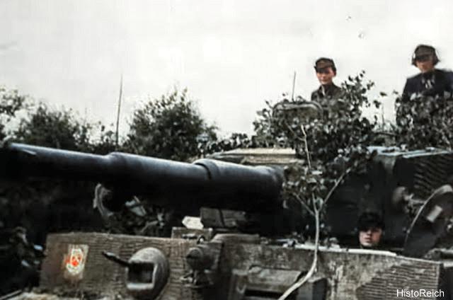 WW2 Lieutenant Michael Wittmann commandant d'une unité de chars Tigre 
