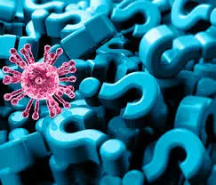 What Is The Cat Q Virus? What Is The Cat Q Virus?