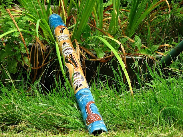What is a Didgeridoo? | The Factory Product | World Musical Instruments |