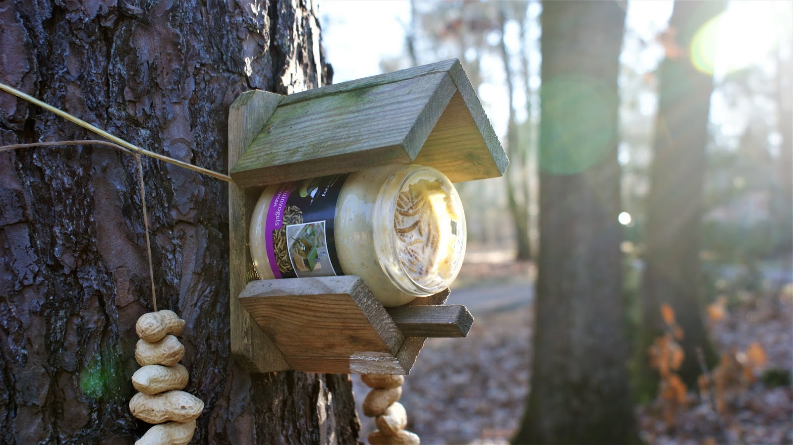 Moments, frozen in time ♡ PEANUT BUTTER FOR BIRDS