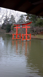 Tori Gate in Brooklyn Botanical Garden