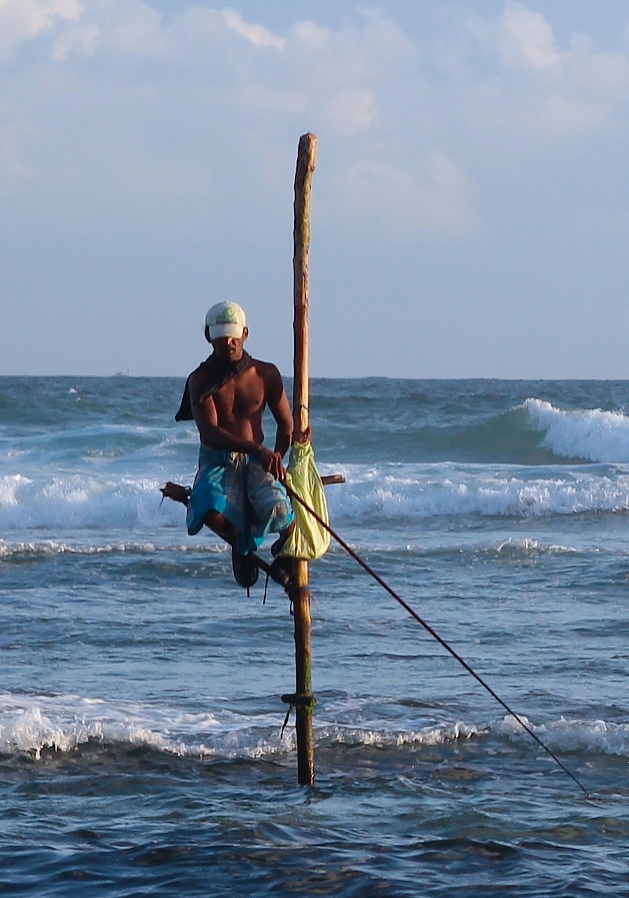 Рыба на шри ланке. Рыболовство Шри Ланка. Рыбаки на Шри Ланке.