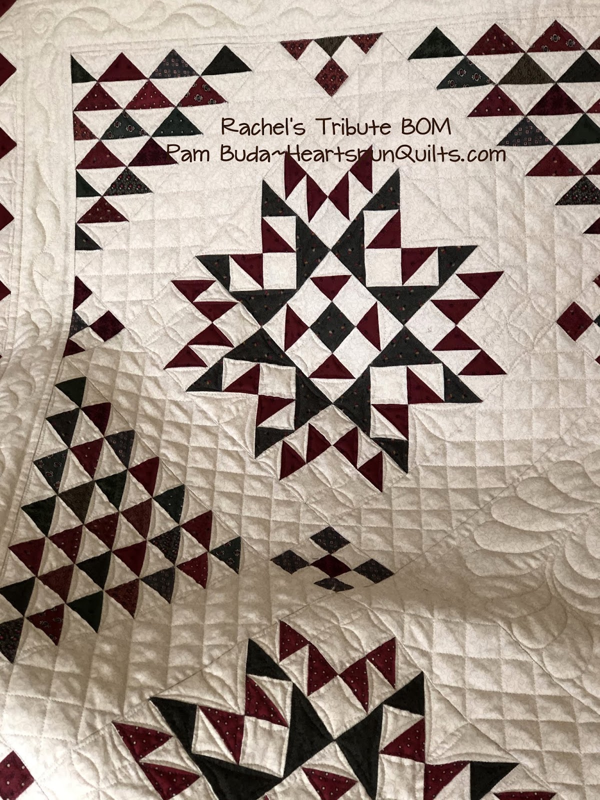 Heartspun Quilts Pam Buda Rachel's Tribute BOM Quilting