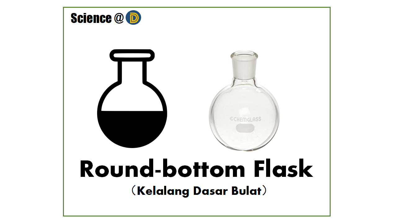 Apparatus in a Laboratory their functions (Part 1)