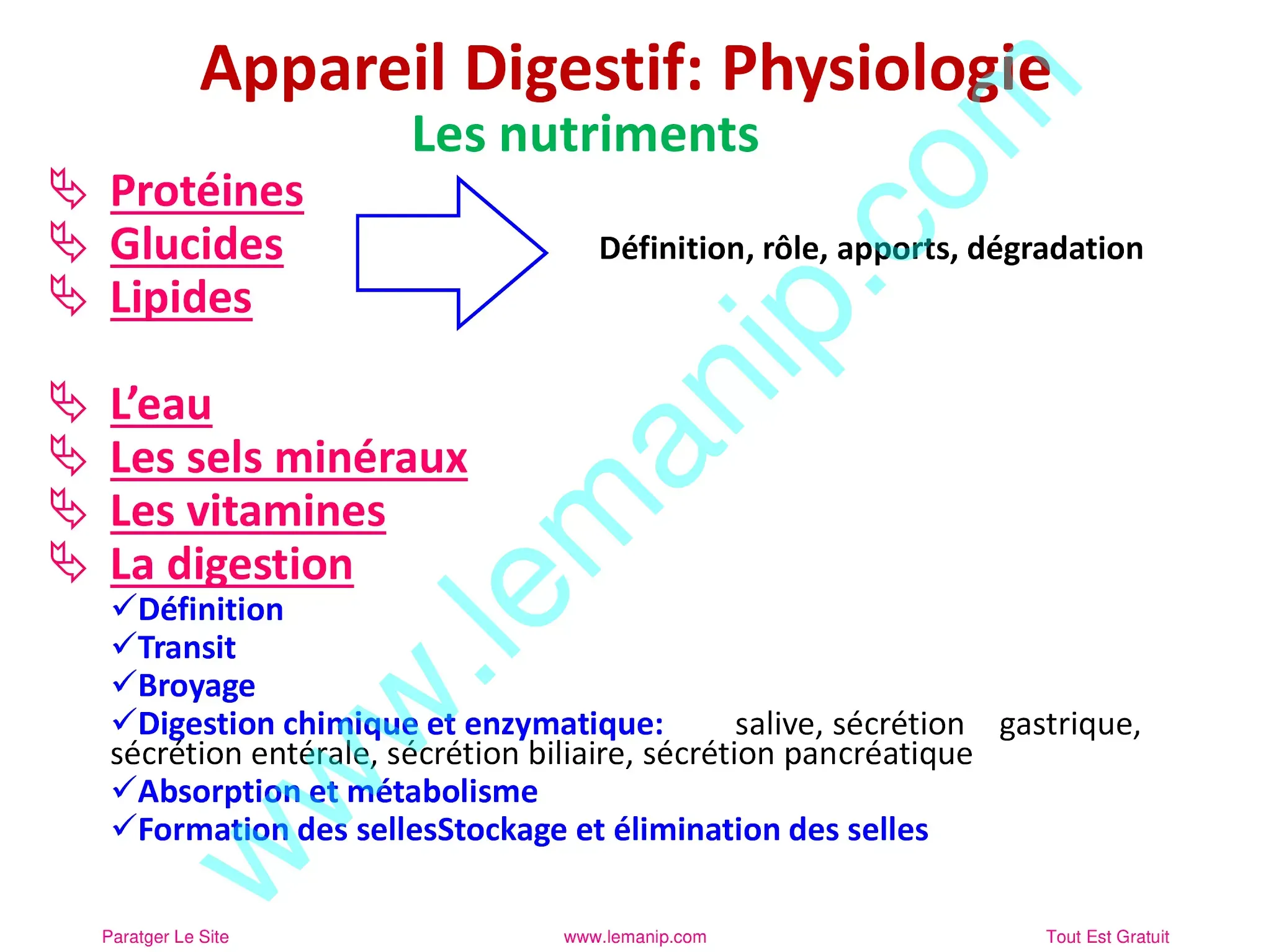 Appareil Digestif et Physiologie