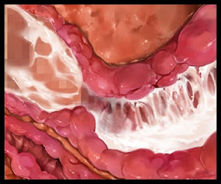 [CG] Welcome to Pussy Paradise