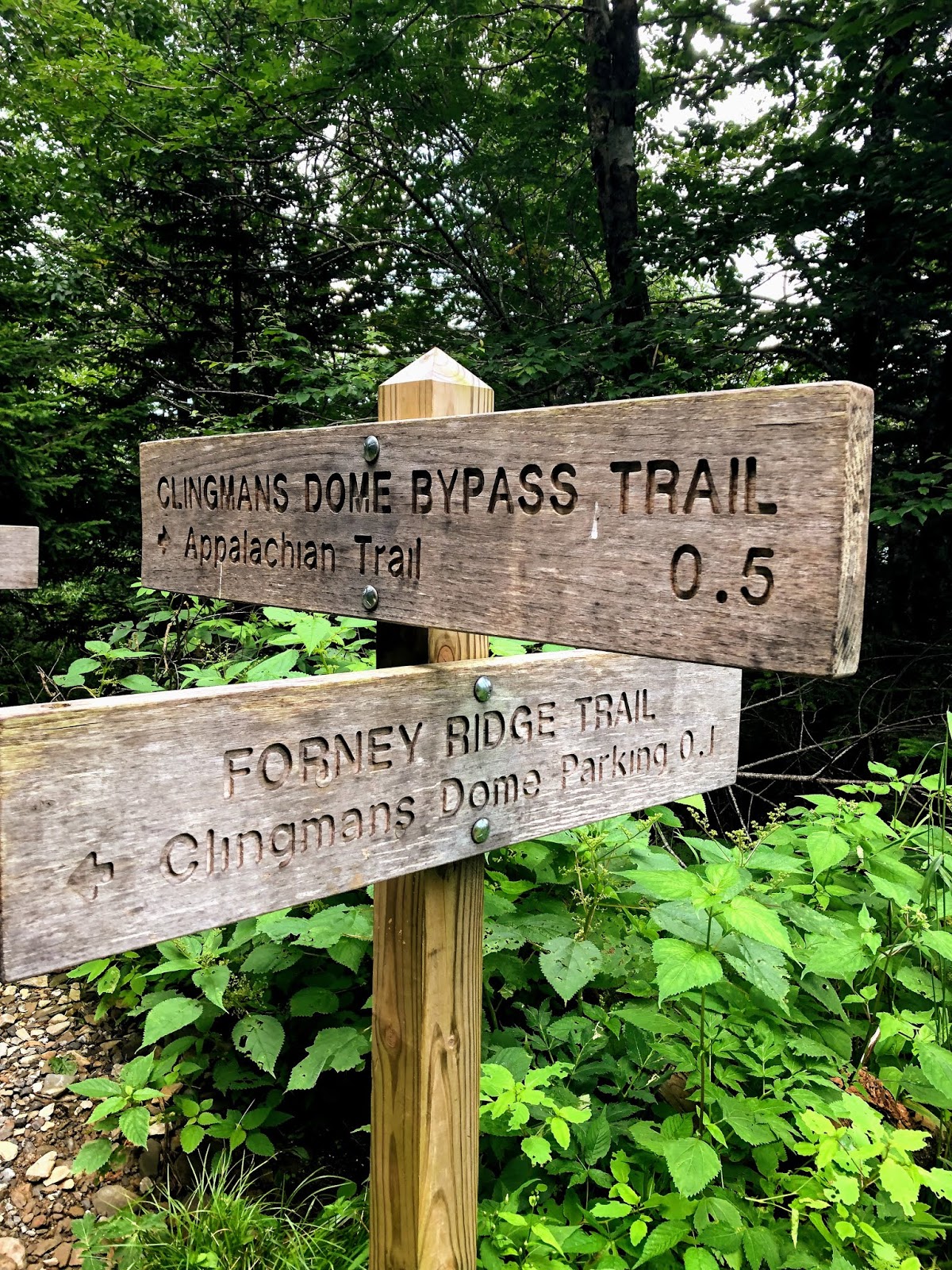 900 miles: Forney Ridge - Springhouse Branch - Forney Creek - Clingmans ...