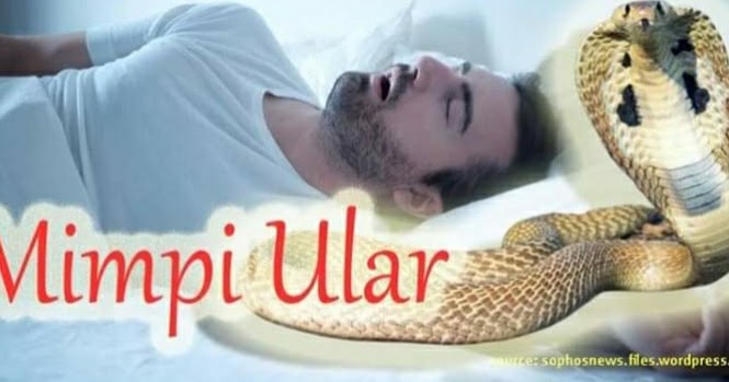 Tafsir Mimpi Ular Suara Bamega Online