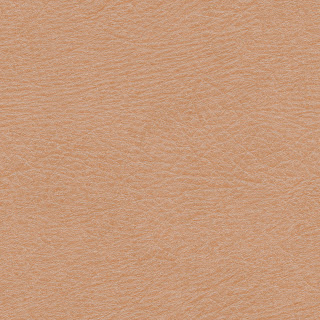 Tileable Human Skin Texture #3