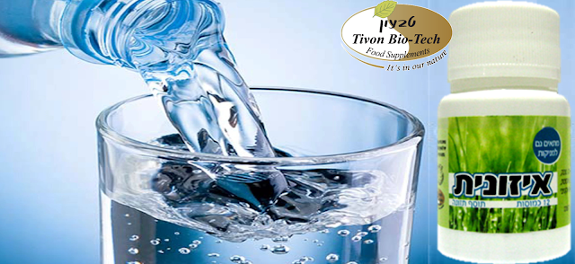 טבעון ביוטק איזונית ויטמין צום קל