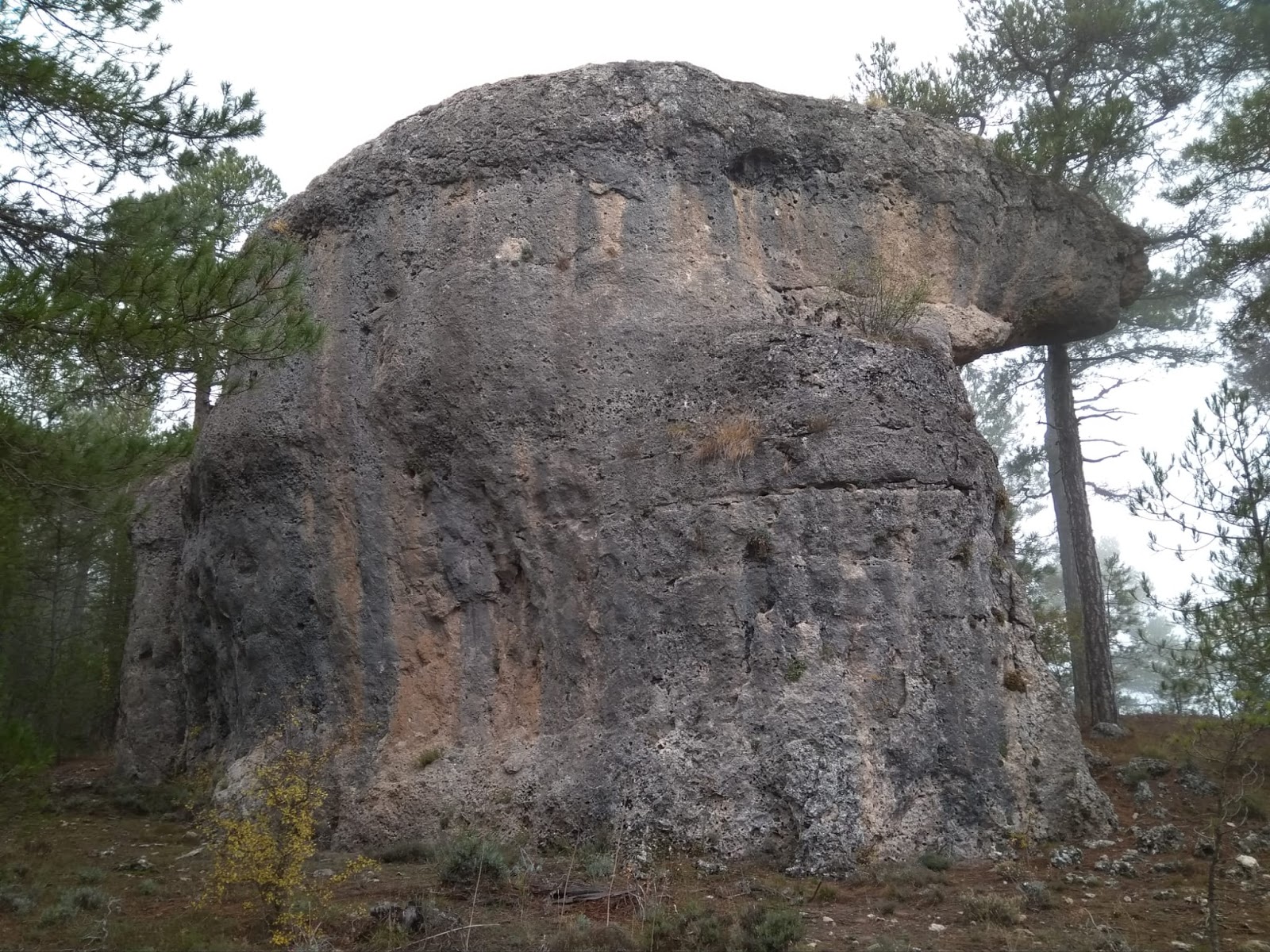 El bosque encantado Rutas por Cuenca