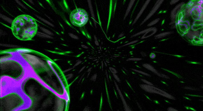 리니지 프리서버 비타민서버