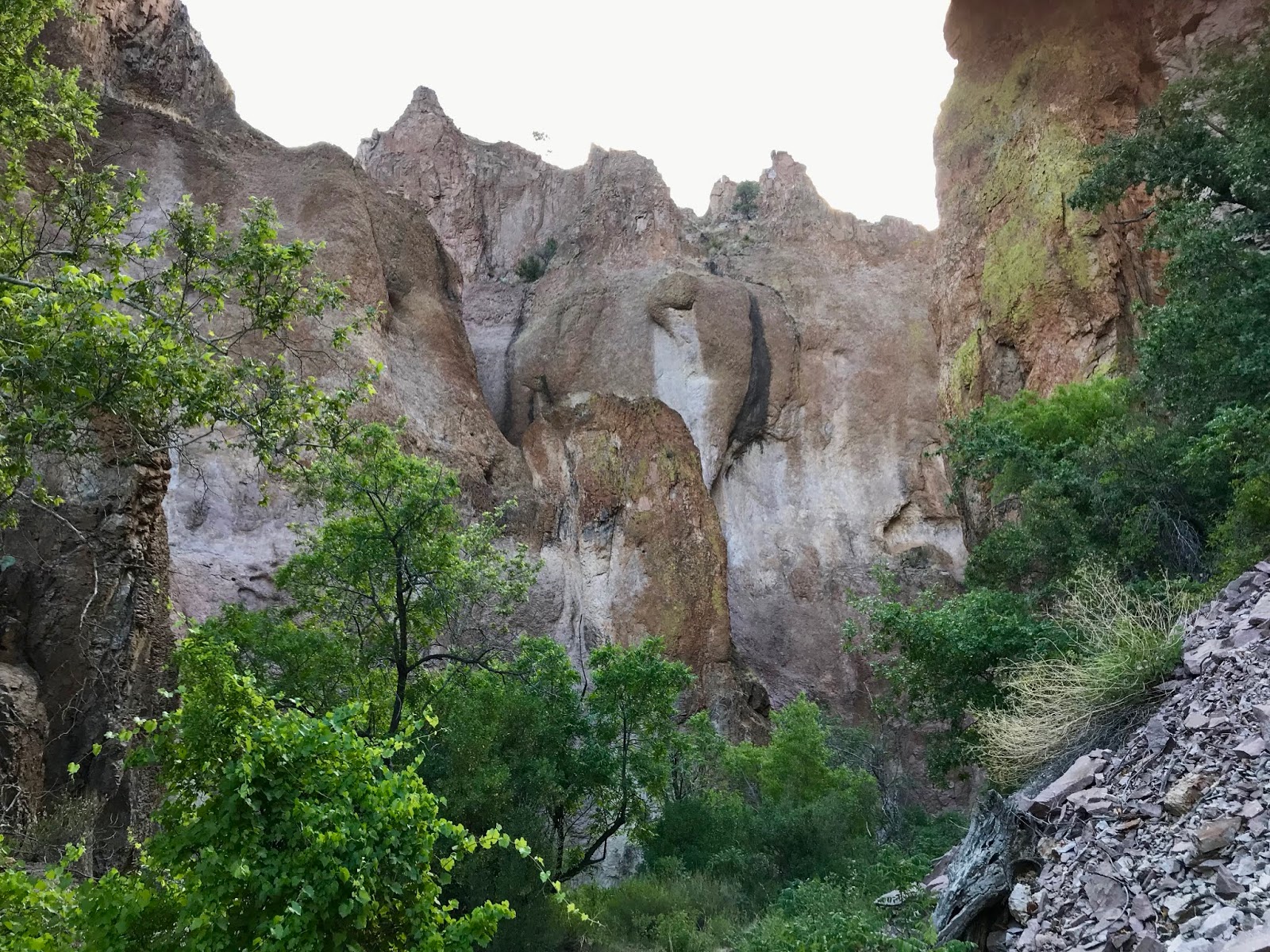 Southern New Mexico Explorer Mineral Creek, Cooney Canyon Gila