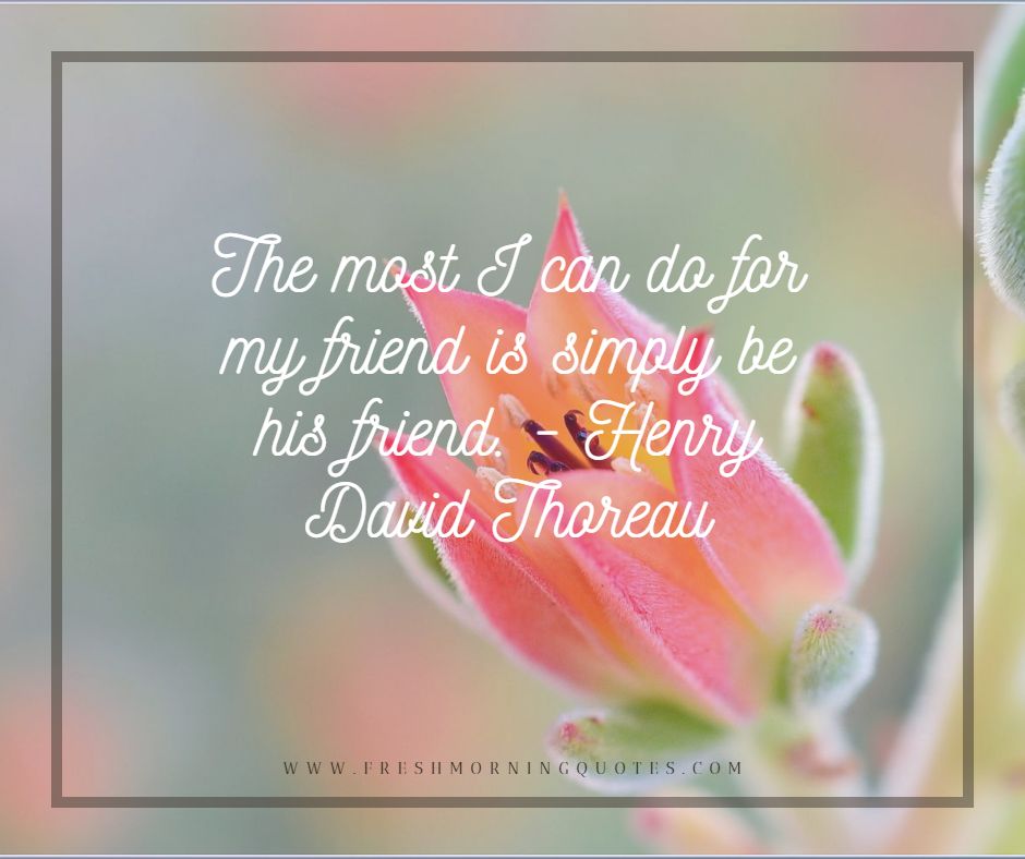 20 Most Beautiful Friendship Quotes