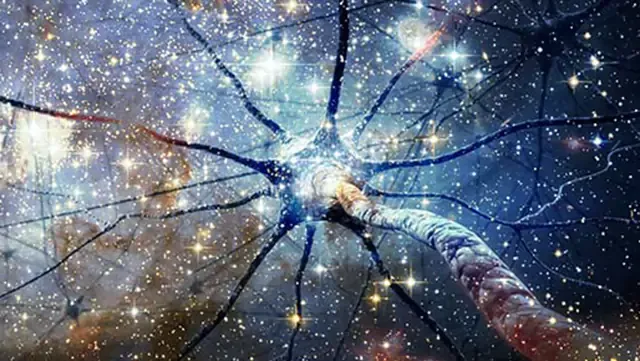 ¿Podría el universo mismo ser consciente?