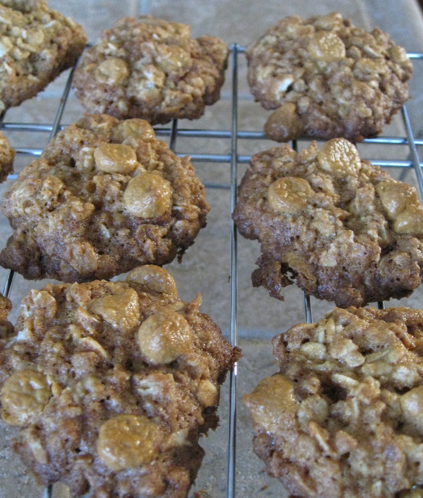 Cindy deRosier My Creative Life GrapeNuts Cookies