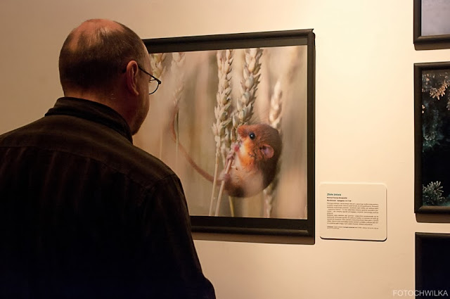 Wystawa Fotografii Dzikiej Przyrody 2013 w Muzeum Górnośląskim w Bytomiu.