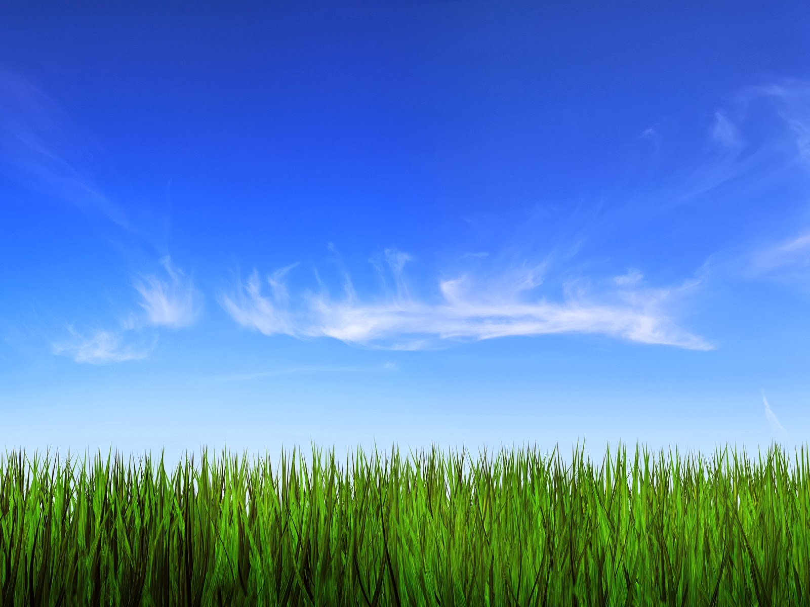 Green Grass Blue Sky Wallpaper