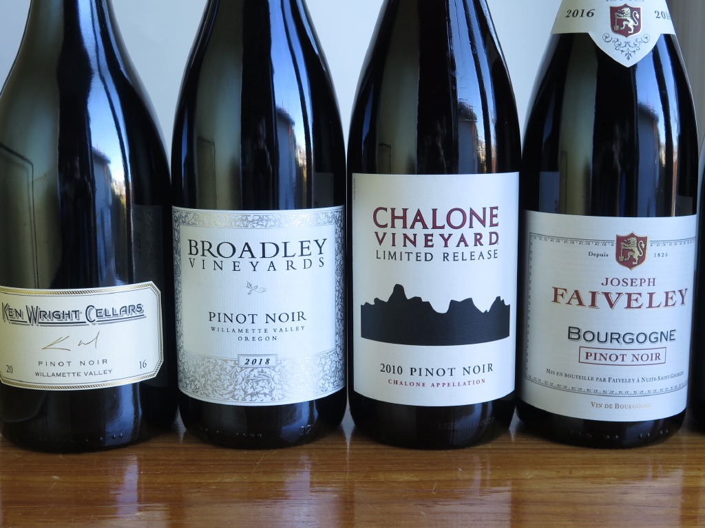 PINOT NOIR, the Perfect Wine for Autumn