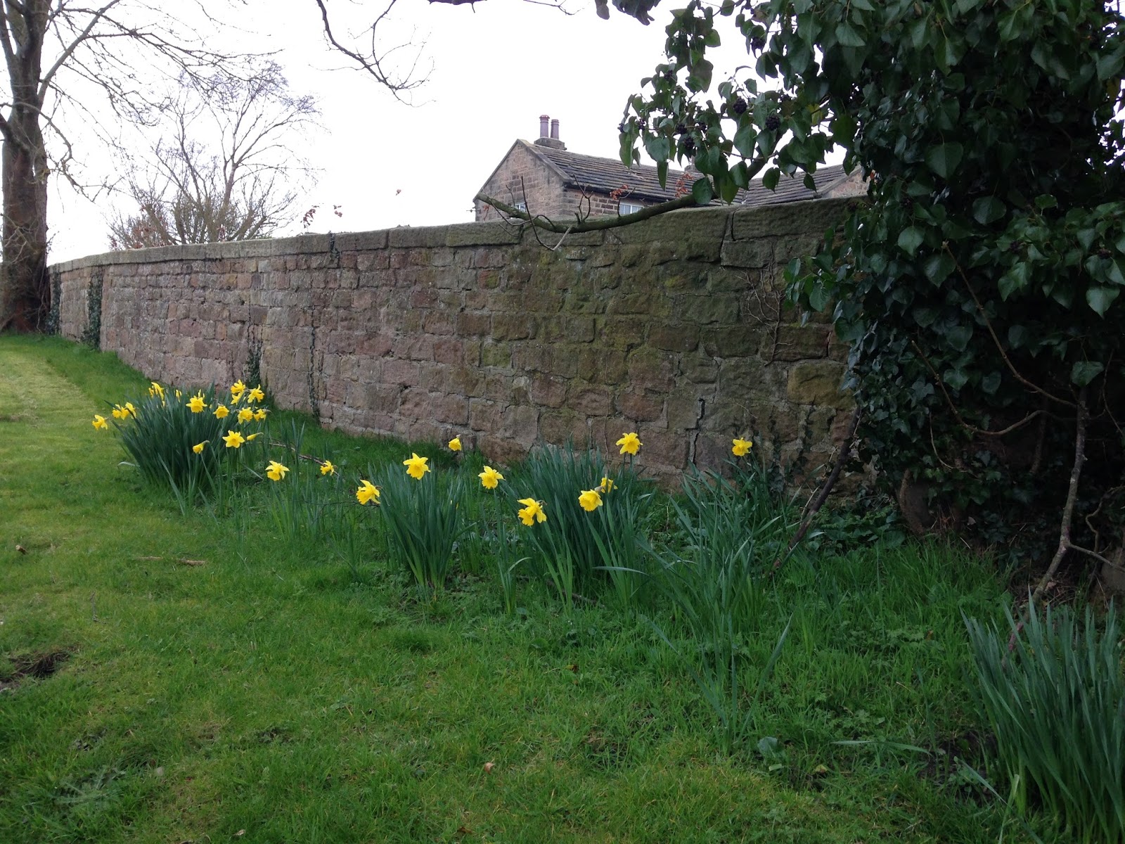 We offer home visits for hearing tests, hearing aids in villages across