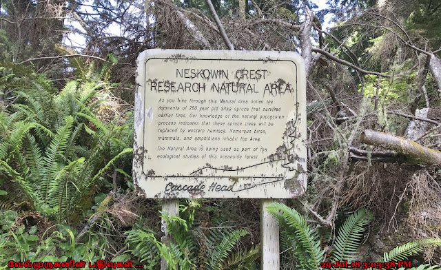 Neskowin Crest Research Natural Area