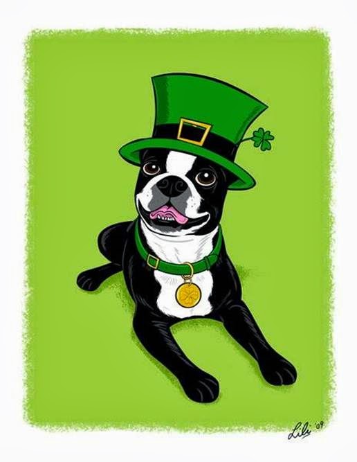 boston terrier and st patricks day