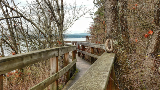 A bit of a boardwalk leads to a set of stairs that  takes us to the trail at a higher level. (2015-12-11)
