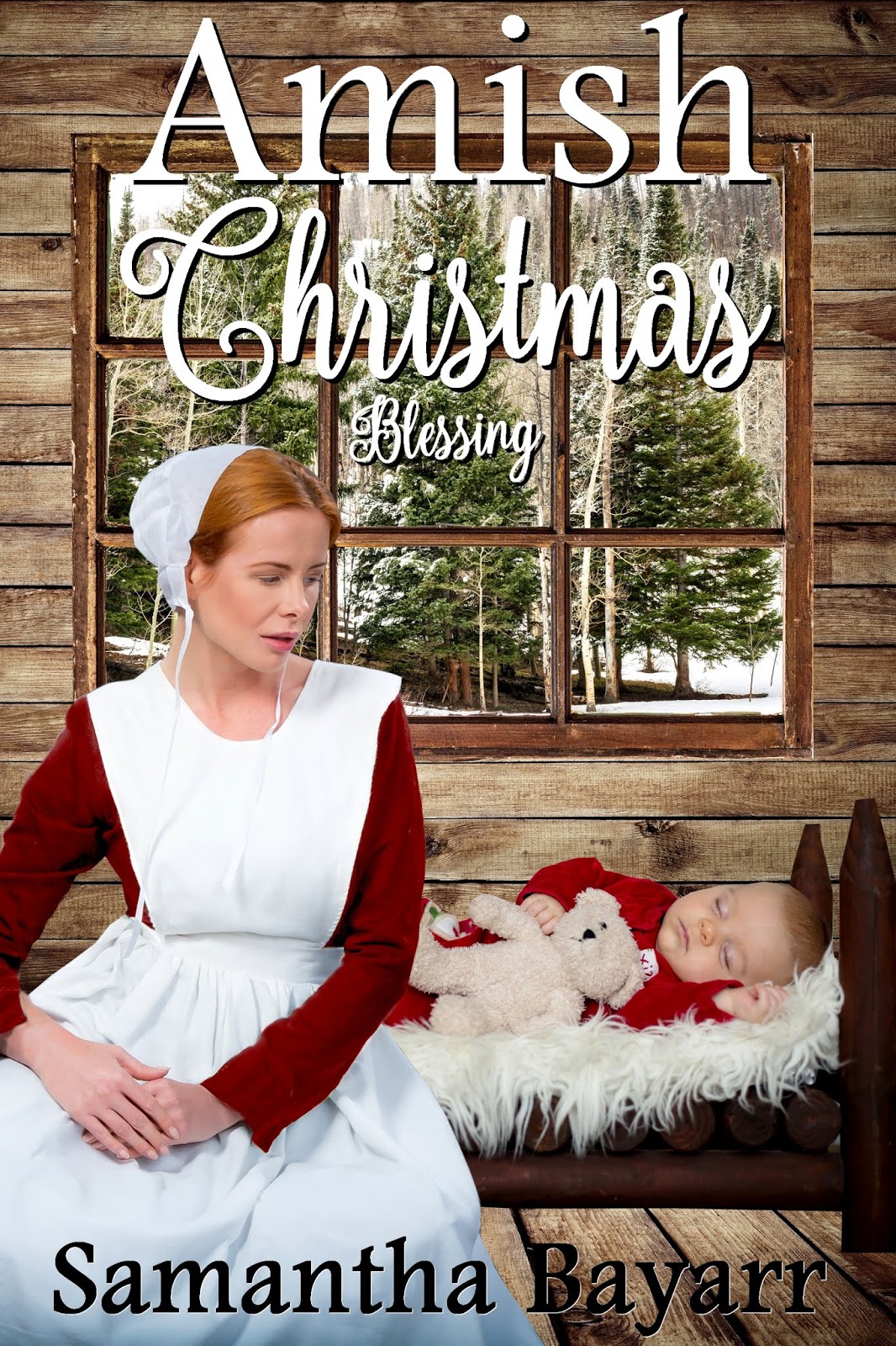 Amish Books Amish Christmas Book SALE