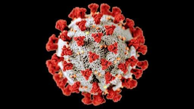 O vírus tem uma foma de coroa  vista no microscópio eletrônico.  A  doença causada por esse vírus foi denominada de coronavírus que recebeu o nome de covid-19 a atual pandemia mundial do século XXI.