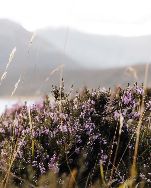 From Instagram: Caught up in Cottagecore