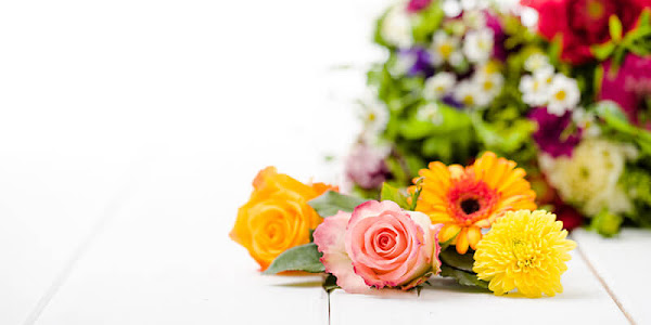 أجمل عبارات الشكر والتقدير